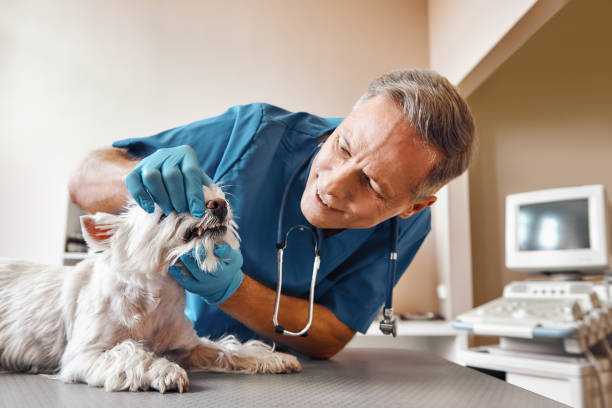 Best Emergency Broken Tooth Repair in Karns, TN